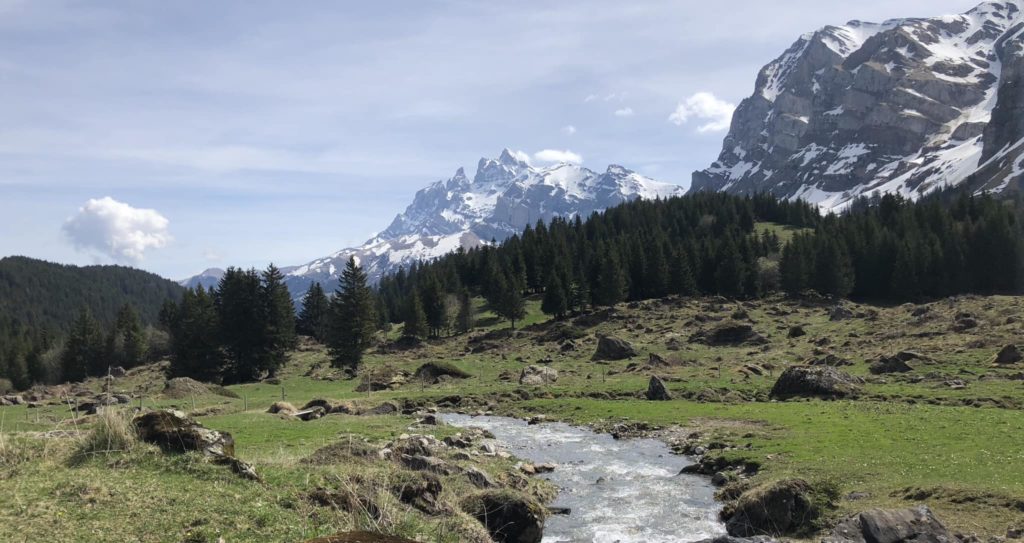 347413006_1374092506466773_6768258286919163462_n