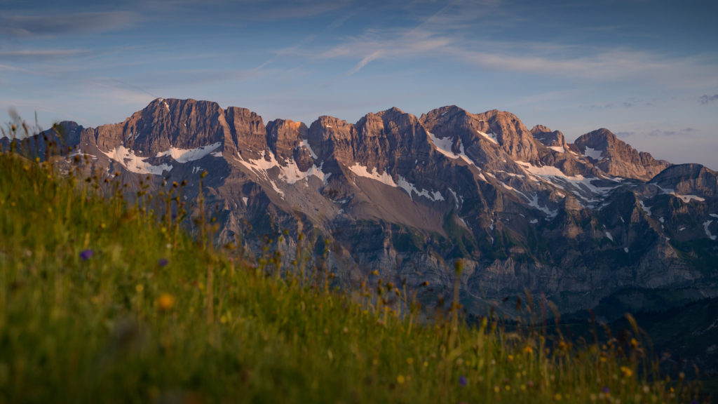dents-blanches_cp-litescapemedia (2)